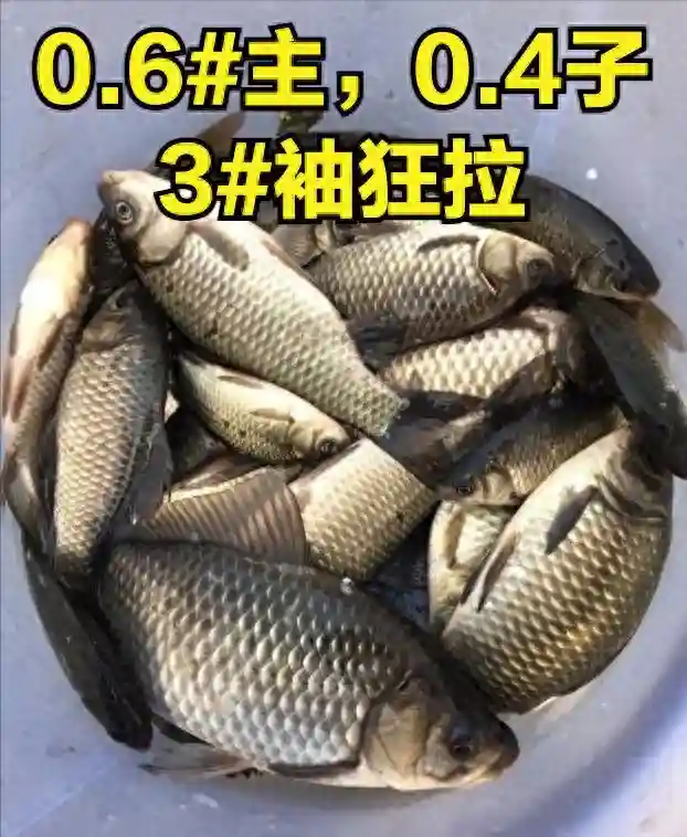 新手钓鱼,千万不要买这3种“智商税”渔具!这些都是我踩过的坑