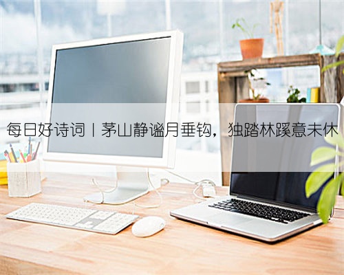 每日好诗词|茅山静谧月垂钩,独踏林蹊意未休