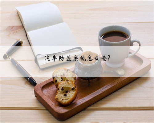 汽车防盗系统怎么查?