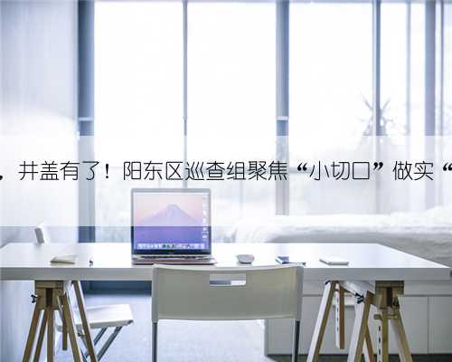 路灯亮了，井盖有了！阳东区巡查组聚焦“小切口”做实“大民生”