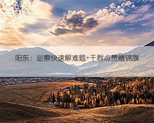 阳东：巡察快速解难题 干群点赞赠锦旗