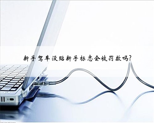 新手驾车没贴新手标志会被罚款吗?
