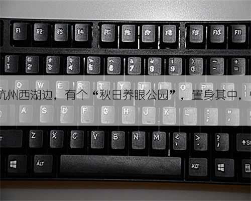 隐匿在杭州西湖边,有个“秋日养眼公园”,置身其中,惊喜...