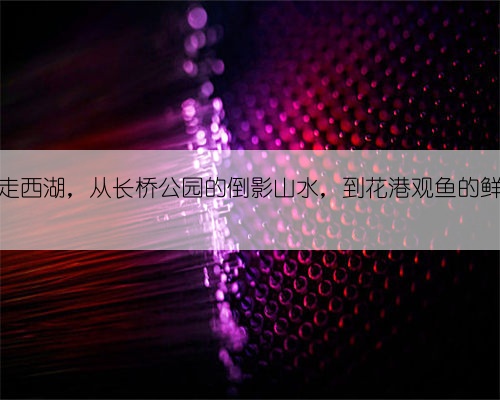 初夏游走西湖,从长桥公园的倒影山水,到花港观鱼的鲜花绽放