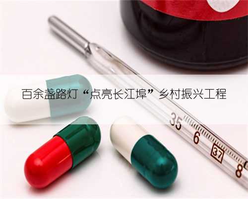百余盏路灯“点亮长江埠”乡村振兴工程