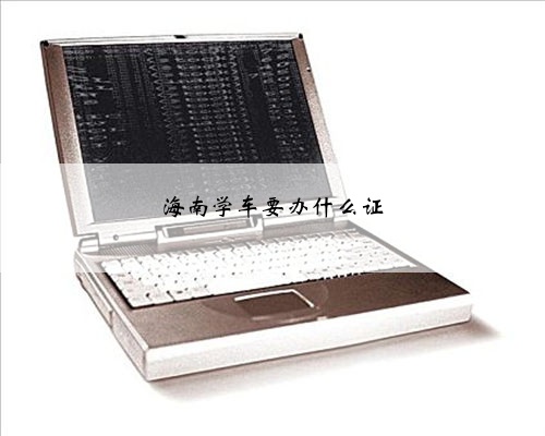 海南学车要办什么证