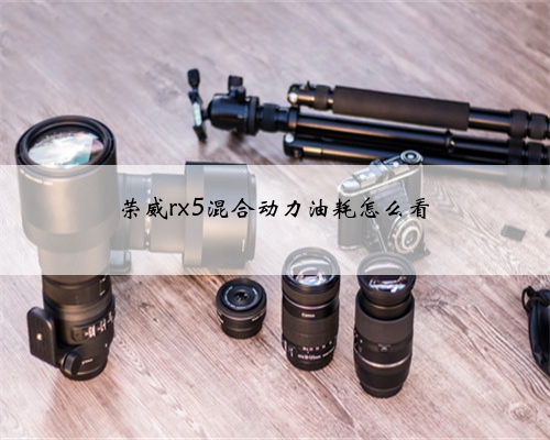 荣威rx5混合动力油耗怎么看