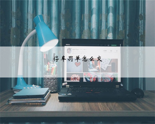 停车罚单怎么交