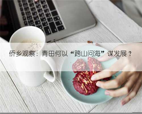 侨乡观察:青田何以“跨山问海”谋发展?