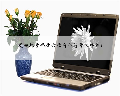 发动机号码后六位有个符号怎样输?
