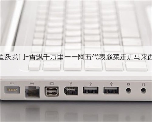 鲤鱼跃龙门 香飘千万里——阿五代表豫菜走进马来西亚