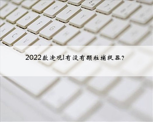 2022款途观l有没有颗粒捕捉器？