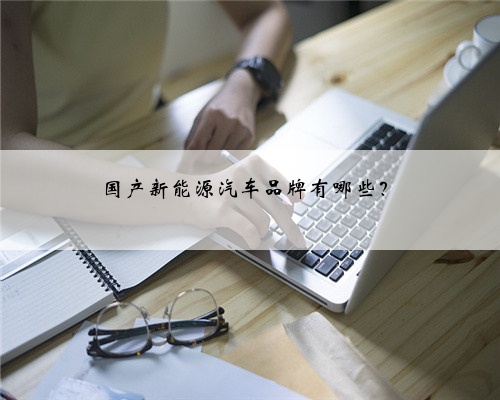 国产新能源汽车品牌有哪些?