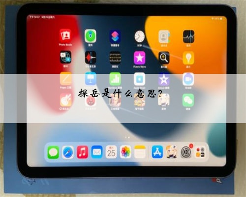 探岳是什么意思？