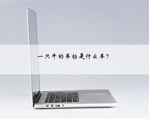 一只牛的车标是什么车?