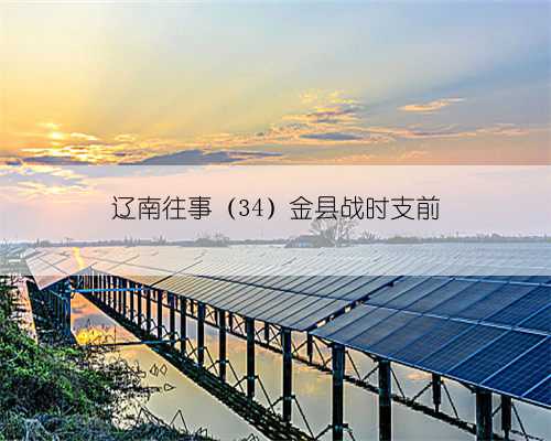 辽南往事（34）金县战时支前