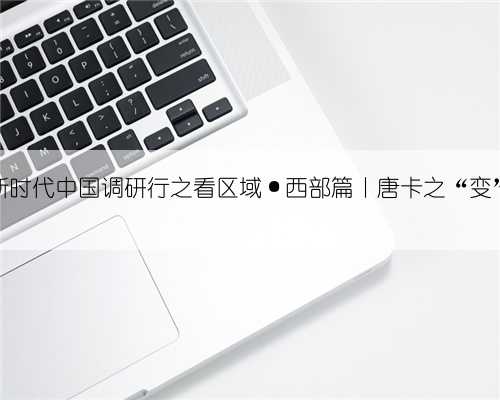新时代中国调研行之看区域·西部篇丨唐卡之“变”