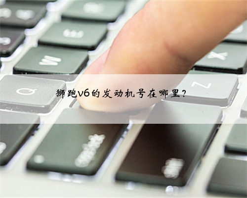 狮跑v6的发动机号在哪里?