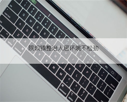 陕坝镇整治人居环境不松劲