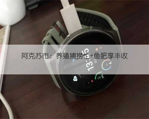 阿克苏市:养殖捕捞忙 鱼肥享丰收