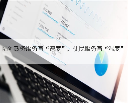 陆河政务服务有“速度”,便民服务有“温度”