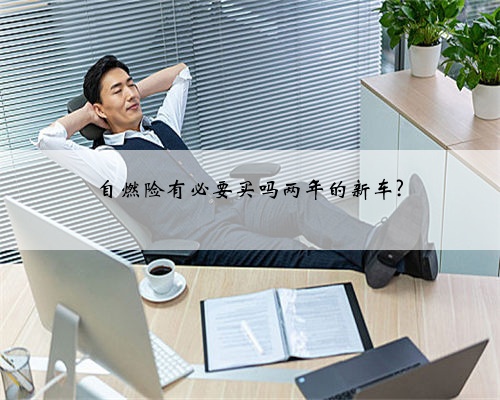 自燃险有必要买吗两年的新车?