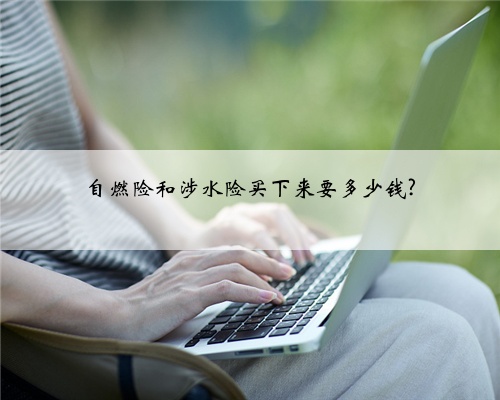 自燃险和涉水险买下来要多少钱?