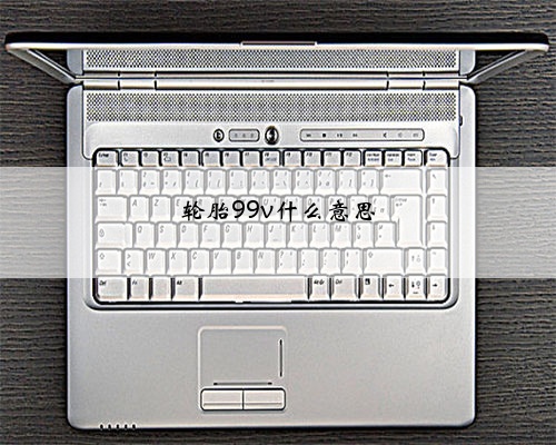 轮胎99v什么意思