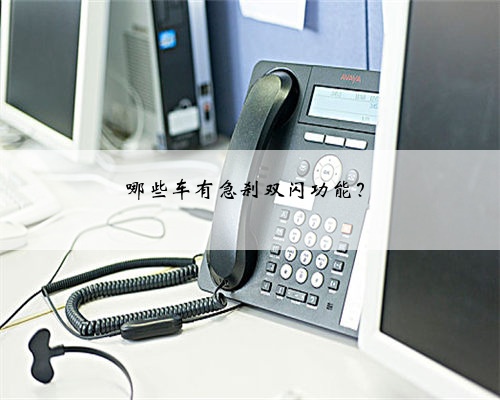 哪些车有急刹双闪功能？