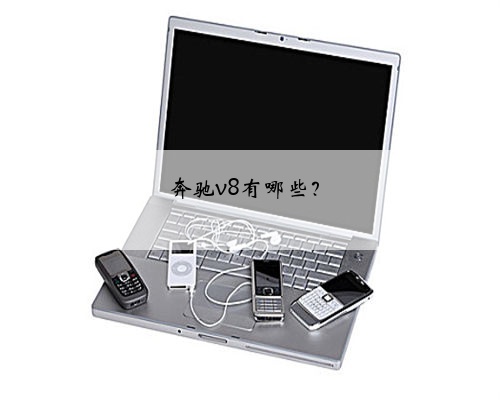 奔驰v8有哪些？