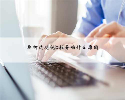 斯柯达明锐b柱异响什么原因