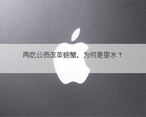 再吃公资改革螃蟹，为何是里水？