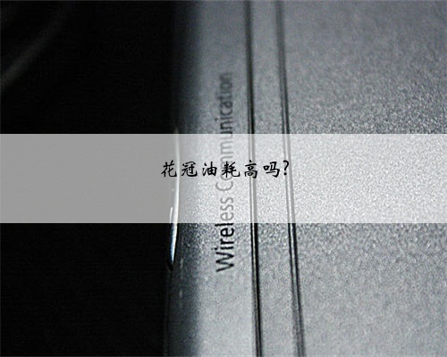 花冠油耗高吗?