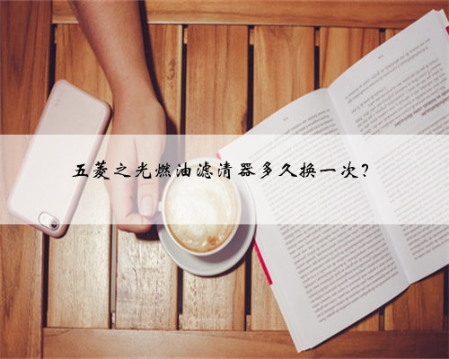 五菱之光燃油滤清器多久换一次？
