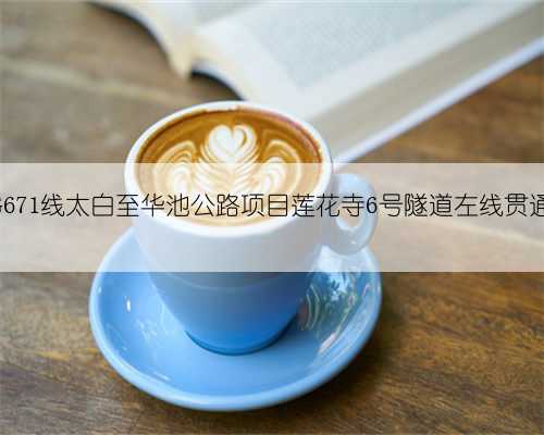 G671线太白至华池公路项目莲花寺6号隧道左线贯通