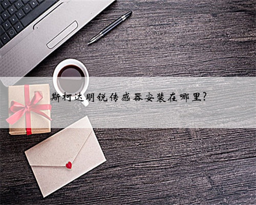 斯柯达明锐传感器安装在哪里?