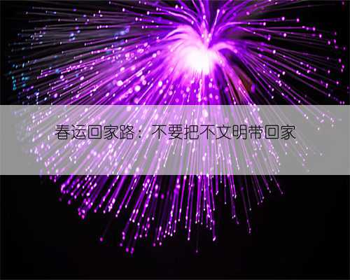 春运回家路:不要把不文明带回家