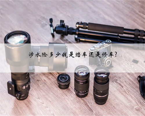 涉水险多少钱是赔车还是修车?