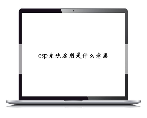 esp系统启用是什么意思