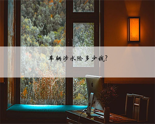 车辆涉水险多少钱?