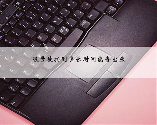 限号被拍到多长时间能查出来