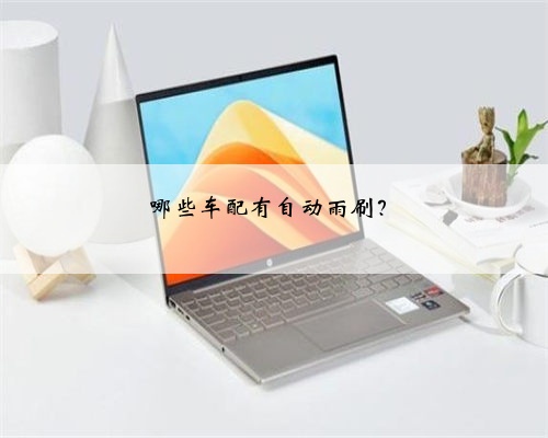 哪些车配有自动雨刷？