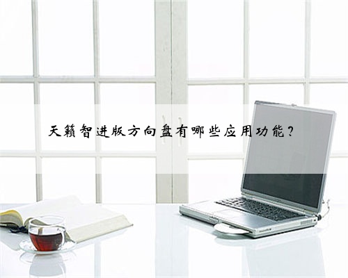 天籁智进版方向盘有哪些应用功能?