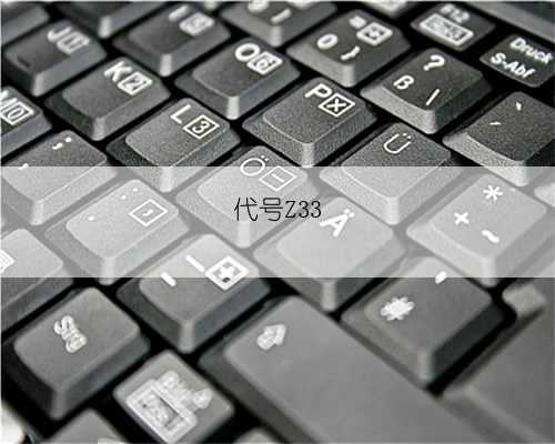 代号Z33