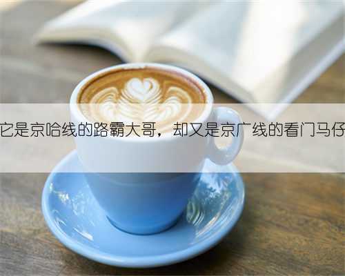 它是京哈线的路霸大哥，却又是京广线的看门马仔
