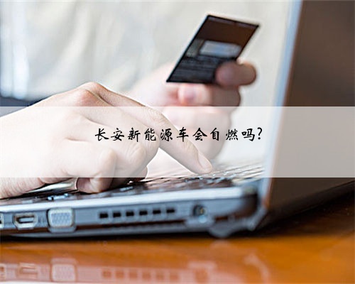 长安新能源车会自燃吗?
