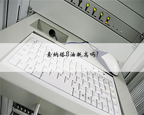 索纳塔8油耗高吗?