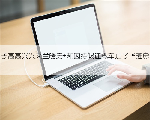 男子高高兴兴来兰暖房 却因持假证驾车进了“班房”