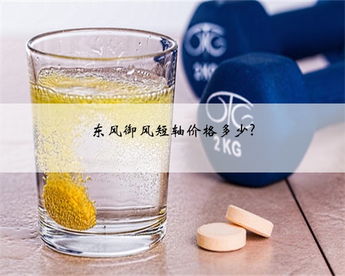 东风御风短轴价格多少?