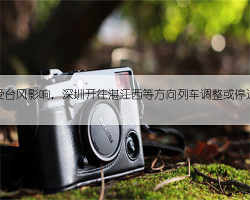 受台风影响，深圳开往湛江西等方向列车调整或停运